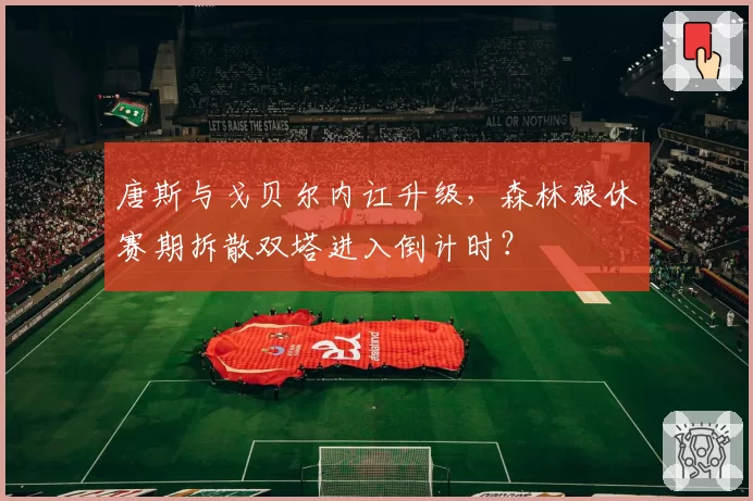 唐斯与戈贝尔内讧升级，森林狼休赛期拆散双塔进入倒计时？