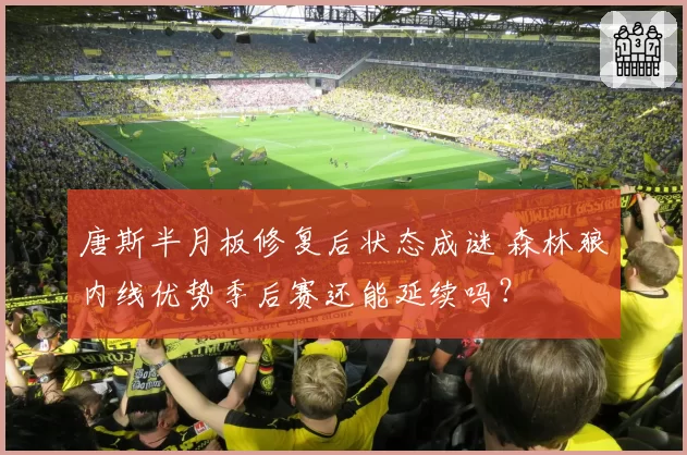 唐斯半月板修复后状态成谜 森林狼内线优势季后赛还能延续吗?