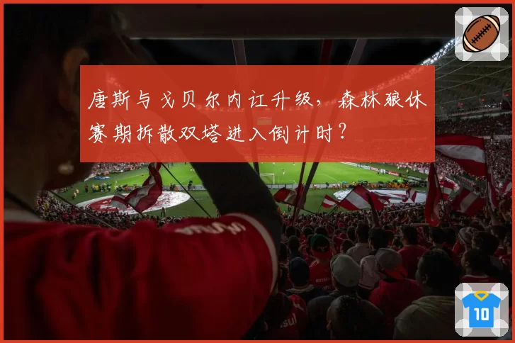 唐斯与戈贝尔内讧升级，森林狼休赛期拆散双塔进入倒计时？