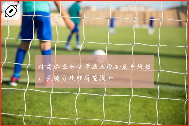 林高远正手快带技术弥补反手短板，关键分处理有望提升