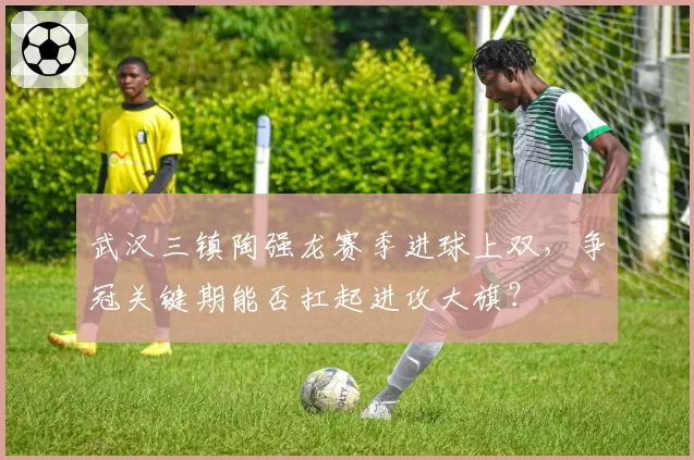 武汉三镇陶强龙赛季进球上双，争冠关键期能否扛起进攻大旗？